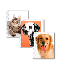 Fat book, 4″ x 5.5″, 200 sheets, Assorted Animals, Case Pack of 48
